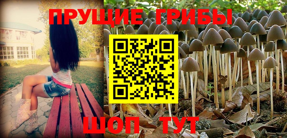 Псилоцибиновые грибы ЛСД  Вход с VPN  Соликамск 